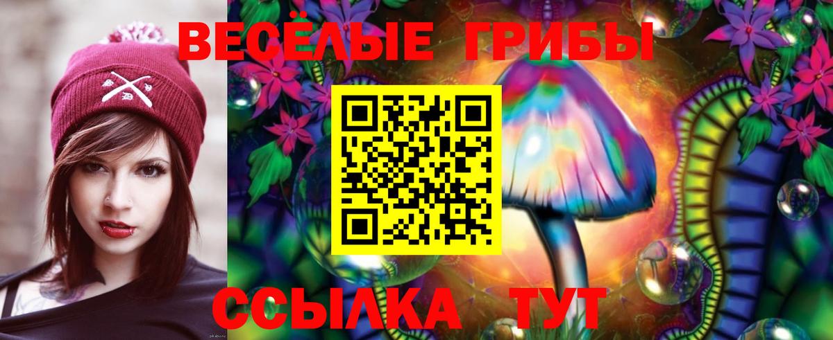 Псилоцибиновые грибы Psilocybine cubensis Шарыпово