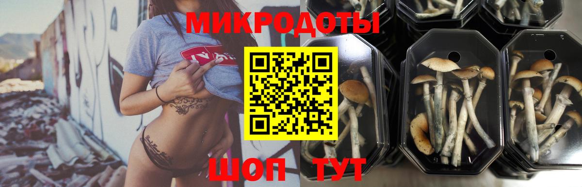 Шарыпово  Галлюциногенные грибы Psilocybine cubensis  Псилоцибиновые грибы MAGIC MUSHROOMS  Вход с VPN 
